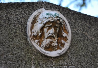 Nové Sedlo, Omnium, 2020