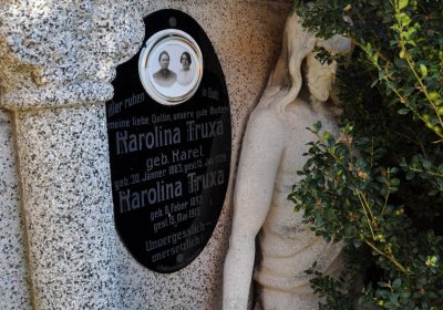 Nové Sedlo, Omnium, 2020