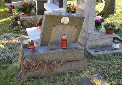 Nové Sedlo, Omnium, 2020