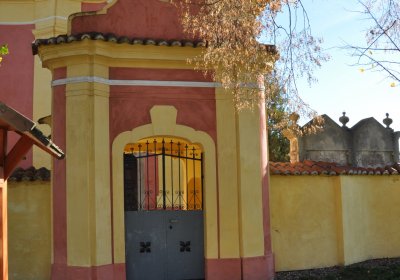 Nové Sedlo, Omnium, 2020