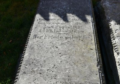 Nové Sedlo, Omnium, 2020