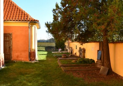 Nové Sedlo, Omnium, 2020