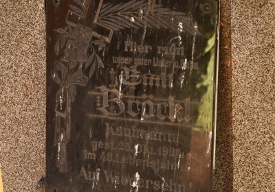 Nové Sedlo, Omnium, 2020