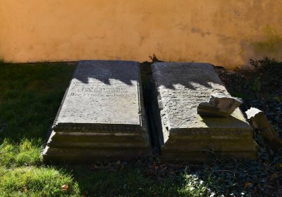 Nové Sedlo, Omnium, 2020