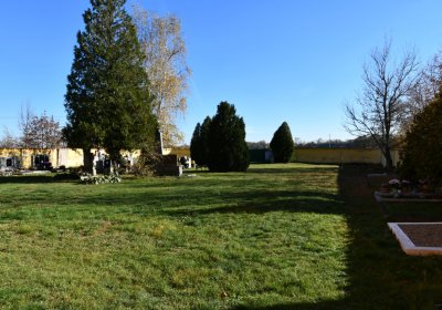 Nové Sedlo, Omnium, 2020