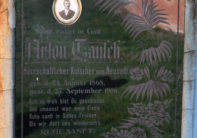 Nové Sedlo, Omnium, 2020