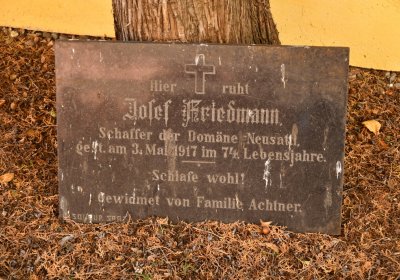 Nové Sedlo, Omnium, 2020