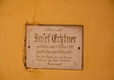 Nové Sedlo, Omnium, 2020