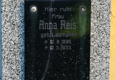 Nové Sedlo, Omnium, 2020