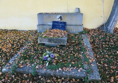 Nové Sedlo, Omnium, 2020