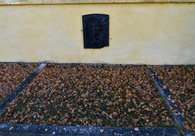 Nové Sedlo, Omnium, 2020