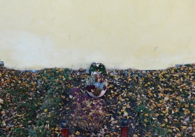 Nové Sedlo, Omnium, 2020