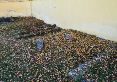 Nové Sedlo, Omnium, 2020