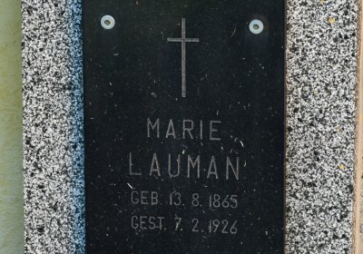 Nové Sedlo, Omnium, 2020