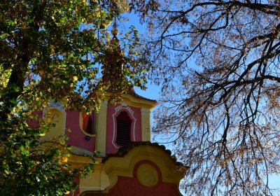 Nové Sedlo, Omnium, 2020