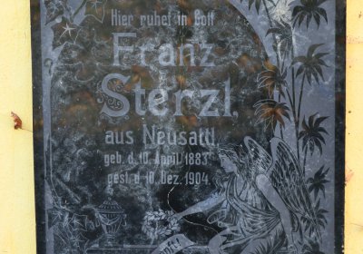 Nové Sedlo, Omnium, 2020