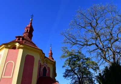 Nové Sedlo, Omnium, 2020