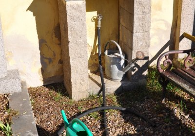 Nové Sedlo, Omnium, 2020