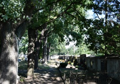 Postoloprty, Omnium, 2020