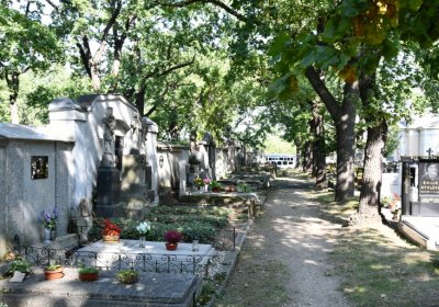 Postoloprty, Omnium, 2020