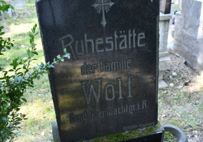 Postoloprty, Omnium, 2020