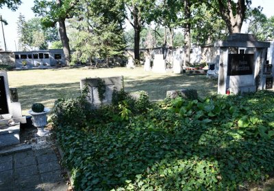 Postoloprty, Omnium, 2020