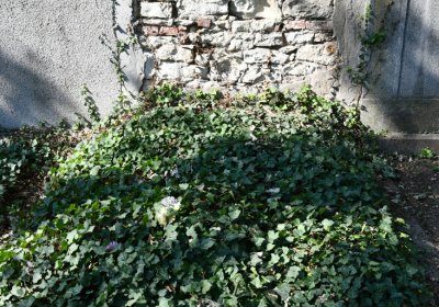 Postoloprty, Omnium, 2020