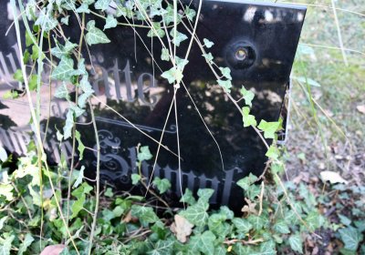 Postoloprty, Omnium, 2020