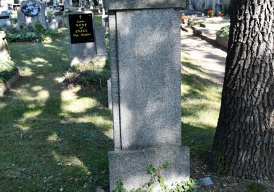 Postoloprty, Omnium, 2020