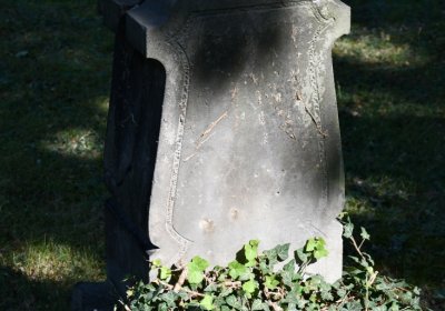 Postoloprty, Omnium, 2020