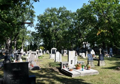 Postoloprty, Omnium, 2020