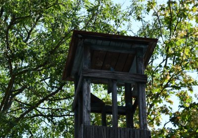 Postoloprty, Omnium, 2020