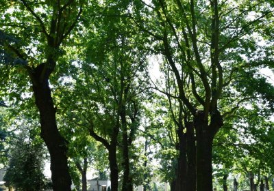 Postoloprty, Omnium, 2020