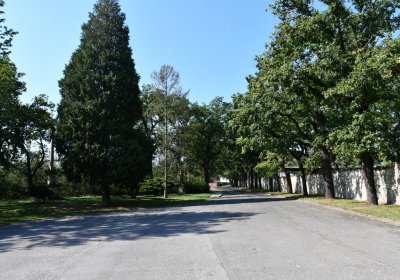 Postoloprty, Omnium, 2020