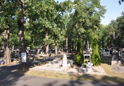 Postoloprty, Omnium, 2020