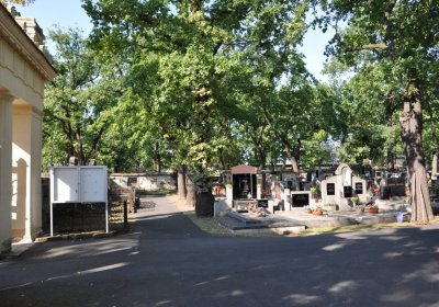 Postoloprty, Omnium, 2020