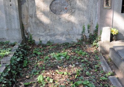 Postoloprty, Omnium, 2020