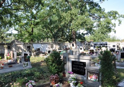 Postoloprty, Omnium, 2020