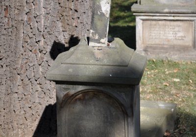 Postoloprty, Omnium, 2020