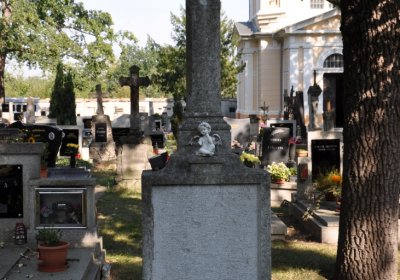 Postoloprty, Omnium, 2020