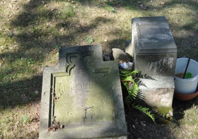 Postoloprty, Omnium, 2020