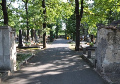 Postoloprty, Omnium, 2020