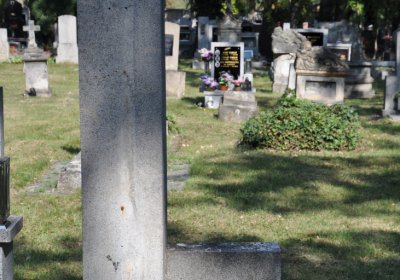 Postoloprty, Omnium, 2020