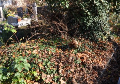 Staňkovice, Omnium, 2020