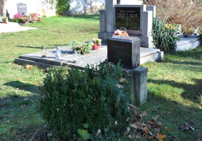 Staňkovice, Omnium, 2020