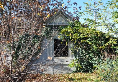 Staňkovice, Omnium, 2020