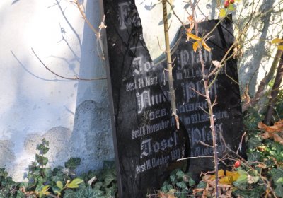 Staňkovice, Omnium, 2020