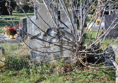 Staňkovice, Omnium, 2020