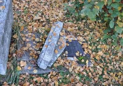 Staňkovice, Omnium, 2020