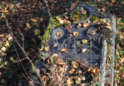 Staňkovice, Omnium, 2020